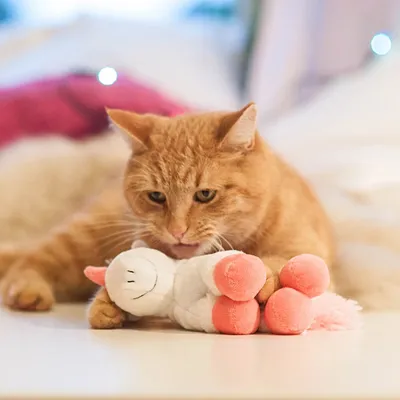 Oranje kat met wit-roze pluche kattenspeeltje in de vorm van een dier, liggend op een witte ondergrond. Materiaal: pluche.