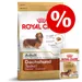 Gemengd pakket: Royal Canin Dachshund Adult - Hondenvoer