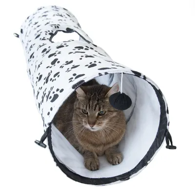 Leikkitunneli tassukuviolla, valkoinen vuori sisällä, roikkuva leikkipallo. Kissa istuu tunnelissa.