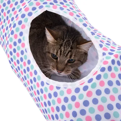 Getigerovaná mačka v otvore hracieho tunela s bodkami. Tunel s farebnými bodkami v ružovej, modrej a zelenej farbe.