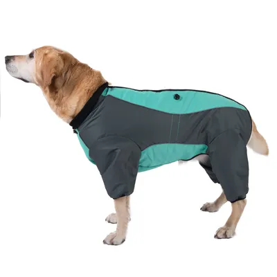 Cane con tuta intera grigio-turchese con colletto e chiusura a bottoni, adatta per protezione dalle intemperie.
