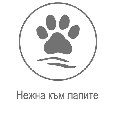 Нежна към лапите
