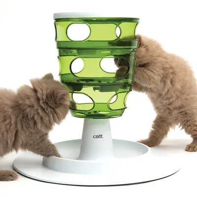 Twee langharige kittens bij een groene Catit voer- of speeltoren van kunststof met openingen, merknaam 'catit' zichtbaar op de witte voet.