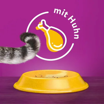Gelber Futternapf mit Resten, Katzenpfote sichtbar. Text: 'mit Huhn' und Symbol eines Hähnchenschenkels auf violettem Hintergrund.