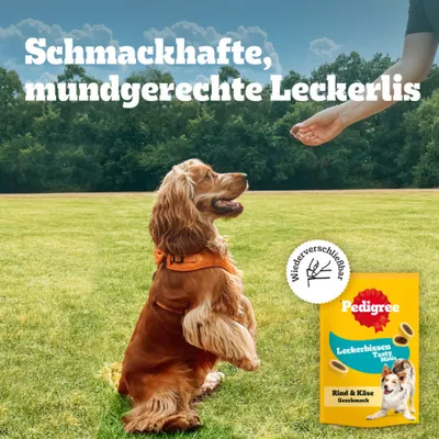 Sparpaket Pedigree Leckerbissen: Kau-Happen Huhn & Ente & Mini-Happen Käse & Rind