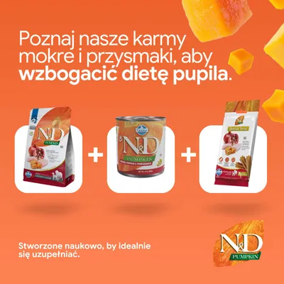 N&D Pumpkin karma sucha, karma mokra i przysmaki dentystyczne od Farmina. Opracowane naukowo dla optymalnej suplementacji żywienia. N&D Pumpkin karma sucha, karma mokra i przysmaki dentystyczne od Farmina. Opracowane naukowo dla optymalnej suplementacji żywienia.