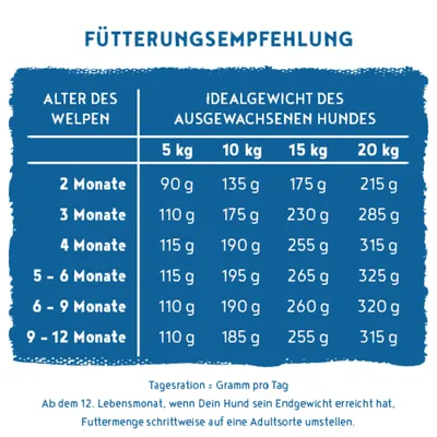 Fütterungsempfehlung für Welpen: Tagesration in Gramm nach Alter und Idealgewicht des ausgewachsenen Hundes, von 2 bis 12 Monate, Gewichte 5-20 kg. Hinweise zur Umstellung ab 12 Monaten.