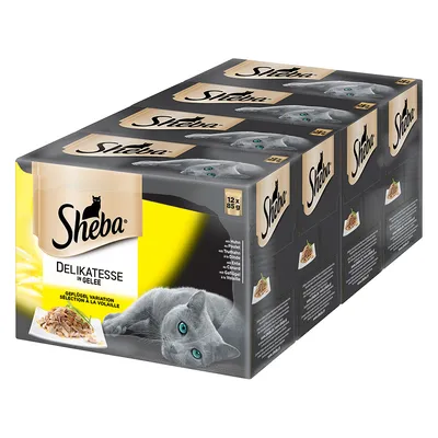 Опаковка Sheba Delikatesse in Gelee, 12 x 85 г паучове за котки, селекция от птиче месо. Видими са марката, продуктът и количеството на опаковките.