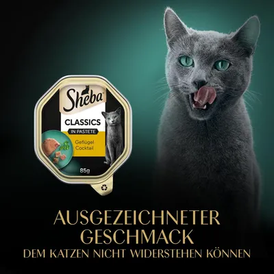 Sheba Classics in Pastete Geflügel Cocktail, 85g. Ausgezeichneter Geschmack, dem Katzen nicht widerstehen können.