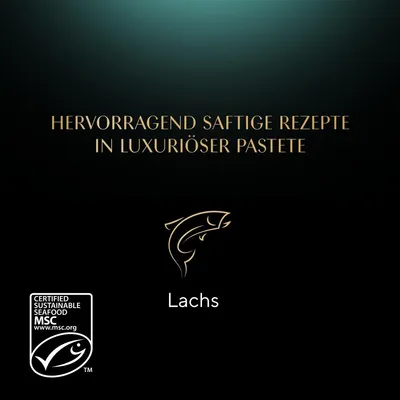 Hervorragend saftige Rezepte in luxuriöser Pastete. Lachs. Zertifiziert nachhaltiger Fischfang MSC.