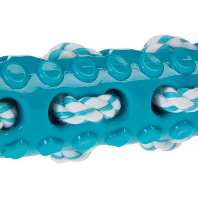 Spielzeug aus blauem Kunststoff mit Noppen und integriertem weiss-blauem Baumwollseil. Geeignet für Kau- und Ziehspiele.