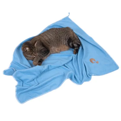 Grijze kat liggend op een lichtblauwe fleece deken met geborduurd hart en C-motief. Materiaal: stof. Geen merknaam zichtbaar.