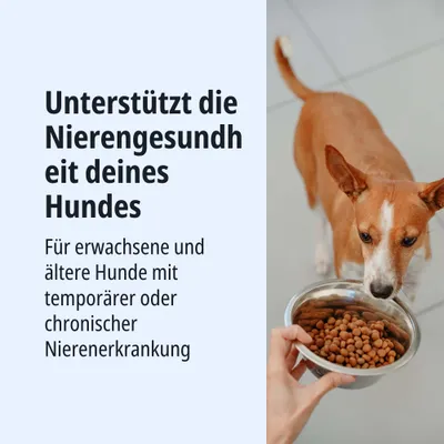 Unterstützt die Nierengesundheit deines Hundes. Für erwachsene und ältere Hunde mit temporärer oder chronischer Nierenerkrankung. Unterstützt die Nierengesundheit deines Hundes. Für erwachsene und ältere Hunde mit temporärer oder chronischer Nierenerkrankung.