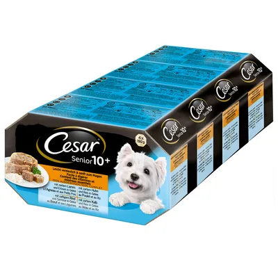 Cesar Senior 10+ hondenvoer, multipack met 4 x 150 g. Op de verpakking staat een witte hond en tekst over licht verteerbare voeding voor oudere honden. Smaken: kalf & rijst, kip & rijst.