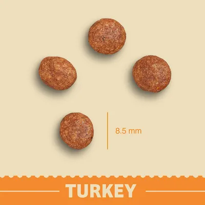 Vier ronde brokjes, diameter 8,5 mm. Onderin staat de tekst 'TURKEY'.