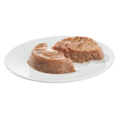 Portion våtfoder i bitar på vit tallrik, brun färg och saftig konsistens. Ingen synlig förpackning eller märkning.