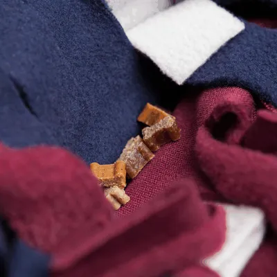 Close-up of small, brown dog snacks shaped like bones, embedded in fabric with blue and red felt.