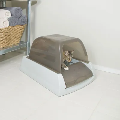 Cat using an enclosed litter box with a transparent front flap, demonstrating product function and entry design.
