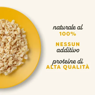 Applaws Buste in Brodo Pacco misto 12 x 70 g