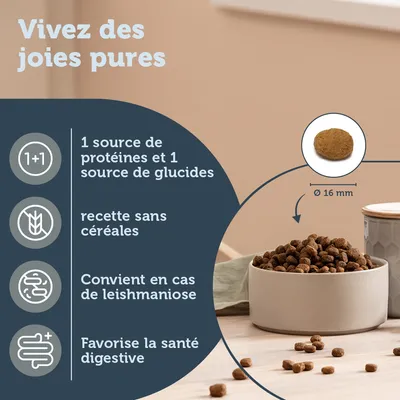 Croquettes en bol, texte : 1 source de protéines et 1 source de glucides, recette sans céréales, convient en cas de leishmaniose, favorise la santé digestive, croquette Ø 16 mm.