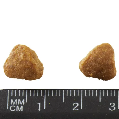 Two triangular brown kibble pieces beside a black ruler showing size in millimetres and centimetres, each piece about 1.5 cm wide.