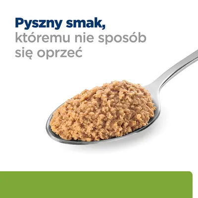 Pyszny smak, któremu nie sposób się oprzeć – tekst na obrazku z łyżką mokrej karmy dla zwierząt.