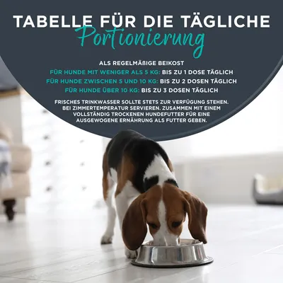 Encore Dose 12 x 156 g