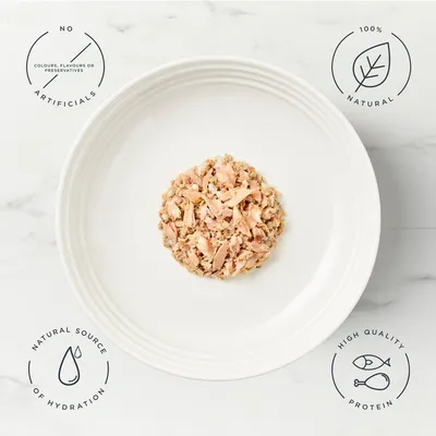 Encore Cat Tin 16 x 70g - Ocean Fish