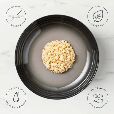 Encore in lattina 16 x 70 g Umido gatto