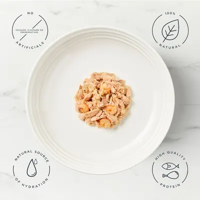 Encore Cat Broth Pouch 16 x 70g - Tuna with Prawn
