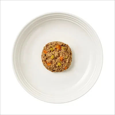 Portion of wet pet food with visible pieces of carrot and peas served on a white plate, showing texture and ingredients.