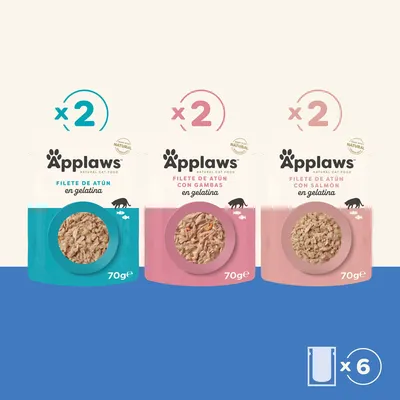 Pack de prueba Applaws Pouch en caldo 24 x 70 g