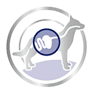 Схематичное изображение собаки с выделенным контуром кишечника в круге, без текста или бренда