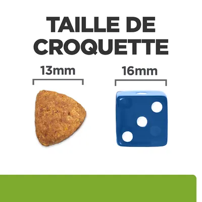 Taille de croquette : croquette triangulaire 13 mm à côté d’un dé bleu 16 mm pour comparaison visuelle des dimensions.