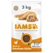 IAMS Advanced Nutrition Kitten met Kip