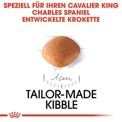 Speziell für Cavalier King Charles Spaniel entwickelte Krokette, massgeschneidert mit einer Grösse von 1 cm. Text: Tailor-Made Kibble.