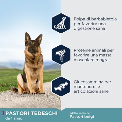 Polpa di barbabietola per digestione sana, proteine animali per massa muscolare magra, glucosammina per articolazioni sane. Pastori tedeschi da 1 anno, adatto anche per pastori belgi.