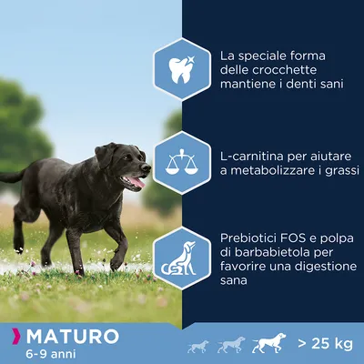 MATURO 6-9 anni, >25 kg. La speciale forma delle crocchette mantiene i denti sani. L-carnitina per aiutare a metabolizzare i grassi. Prebiotici FOS e polpa di barbabietola per digestione sana.