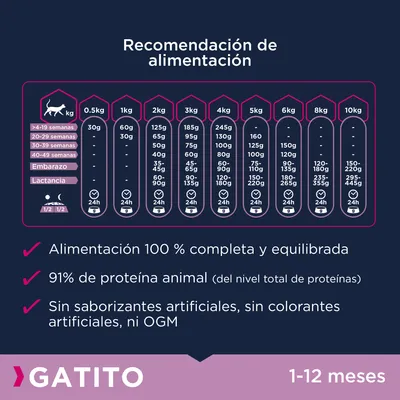 Tabla de recomendación de alimentación para gatitos 1–12 meses según peso, con consejos por semanas y lactancia. Alimentación 100 % completa, 91 % proteína animal, sin OGM ni aditivos artificiales.