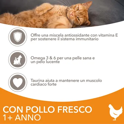Offre una miscela antiossidante con vitamina E, Omega 3 & 6 per pelle e pelo, taurina per muscolo cardiaco. Con pollo fresco 1+ anno.