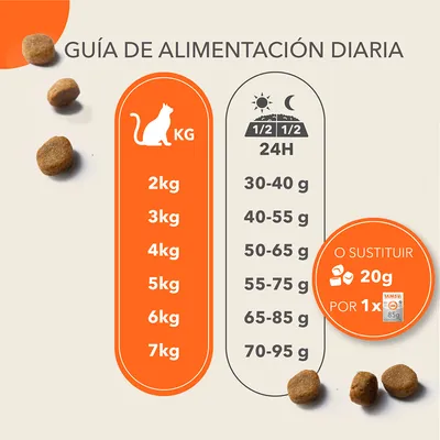 Guía de alimentación diaria para gatos: 2 kg 30–40 g, 3 kg 40–55 g, 4 kg 50–65 g, 5 kg 55–75 g, 6 kg 65–85 g, 7 kg 70–95 g. O sustituir 20 g por 1 IAMS 85 g.