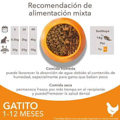 Recomendación de alimentación mixta para gatitos 1–12 meses: comida húmeda y seca, tabla de dosis diaria por peso (0,5 kg 25 g, 2 kg 55 g, 4 kg 70 g), sustitución 16 g por 1x85 g.