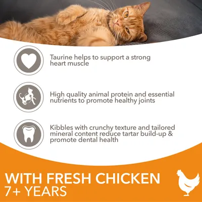 Text på engelska: Taurine helps to support a strong heart muscle. High quality animal protein and essential nutrients to promote healthy joints. Kibbles with crunchy texture ... WITH FRESH CHICKEN 7+ YEARS