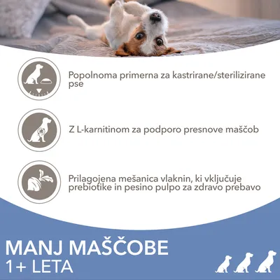 Popolnoma primerna za kastrirane/sterilizirane pse. Z L-karnitinom za podporo presnove maščob. Prilagojena mešanica vlaknin s prebiotiki in pesino pulpo. Manj maščobe 1+ leta.