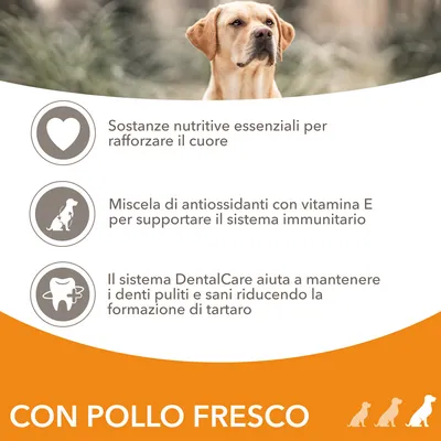 Sostanze nutritive essenziali per rafforzare il cuore, antiossidanti con vitamina E per il sistema immunitario, sistema DentalCare per denti sani. Testo: CON POLLO FRESCO.