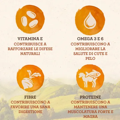Vitamina E rafforza le difese naturali, Omega 3 e 6 migliorano salute di cute e pelo, fibre favoriscono digestione, proteine mantengono muscolatura forte e magra.