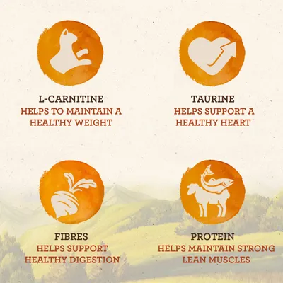 Text på engelska: L-carnitine helps to maintain a healthy weight, taurine helps support a healthy heart, fibres helps support healthy digestion, protein helps maintain strong lean muscles.