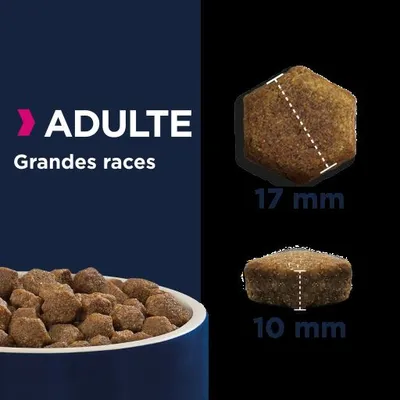 Croquettes pour chien adulte grandes races, forme hexagonale, dimensions indiquées : 17 mm de large et 10 mm d’épaisseur. Texte visible : ADULTE Grandes races.