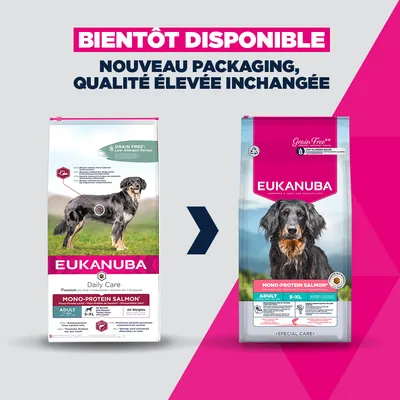 Eukanuba Adult Mono-Protein au saumon pour chien