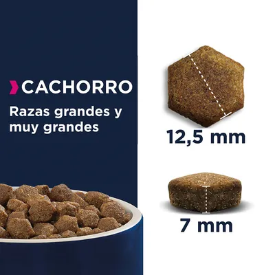 CACHORRO Razas grandes y muy grandes. Croqueta de pienso con medidas: 12,5 mm de ancho y 7 mm de alto, imagen del producto en bol azul.